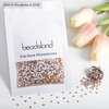 image:imageBeadsland 2880pcs Flat Back Crystal Rhinestones Round Gems for Nail Art and Craft Glue FixAquamarine ABSS102729mmChampagne