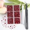 image:imageBeadsland 4300pcs Flatback RhinestonesOrange Rhinestone Nail Gems Round Crystal Rhinestones for CraftsMixed 6 Sizes with Picking Tweezers and Wax Pencil Kit SS6SS20HyacinthOrangeSiam
