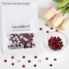 image:imagebeadsland 1440pcs Flat Back Crystal Rhinestones Round Gems for Nail Art and Craft Glue Fix CrystalAB SS10 2729mmDark Siam