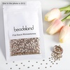 image:imagebeadsland 1440pcs Flat Back Crystal Rhinestones Round Gems for Nail Art and Craft Glue Fix CrystalAB SS10 2729mmGolden Shadow