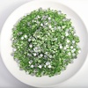 image:imagebeadsland 1440pcs Flat Back Crystal Rhinestones Round Gems for Nail Art and Craft Glue Fix CrystalAB SS10 2729mmLight Green