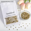 image:imagebeadsland 1440pcs Flat Back Crystal Rhinestones Round Gems for Nail Art and Craft Glue Fix CrystalAB SS10 2729mmMetalSunlight