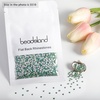 image:imagebeadsland 1440pcs Flat Back Crystal Rhinestones Round Gems for Nail Art and Craft Glue Fix CrystalAB SS10 2729mmPeridot Ab