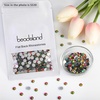 image:imagebeadsland 1440pcs Flat Back Crystal Rhinestones Round Gems for Nail Art and Craft Glue Fix CrystalAB SS10 2729mmRainbow