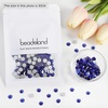 image:imagebeadsland 1440pcs Flat Back Crystal Rhinestones Round Gems for Nail Art and Craft Glue Fix CrystalAB SS10 2729mmSapphire