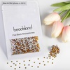 image:imagebeadsland 1440pcs Flat Back Crystal Rhinestones Round Gems for Nail Art and Craft Glue Fix CrystalAB SS10 2729mmTopaz