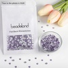 image:imagebeadsland 1440pcs Flat Back Crystal Rhinestones Round Gems for Nail Art and Craft Glue Fix CrystalAB SS10 2729mmViolet